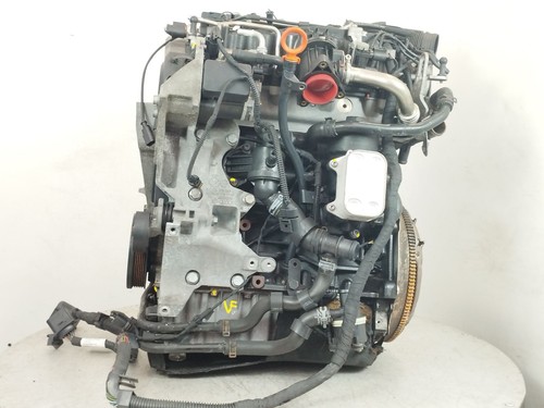 Cay kompletter motor - kompletter, /