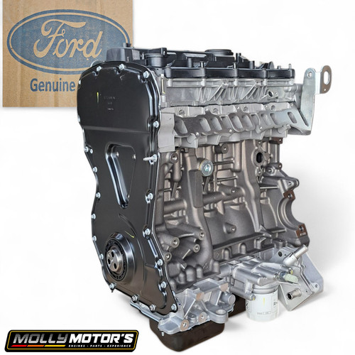 Original motor ford transit - motor,