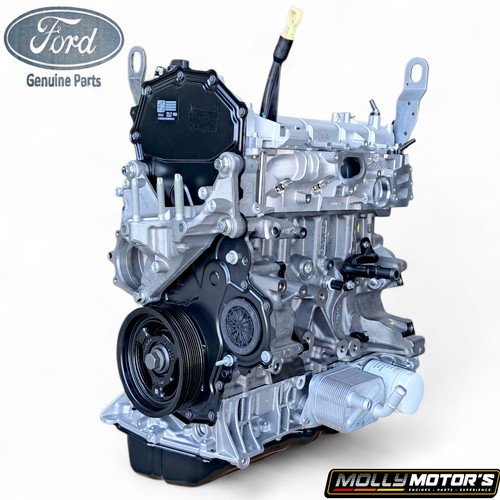 Original motor ford tourneo - motor,