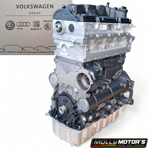Original motor audi seat - vw,